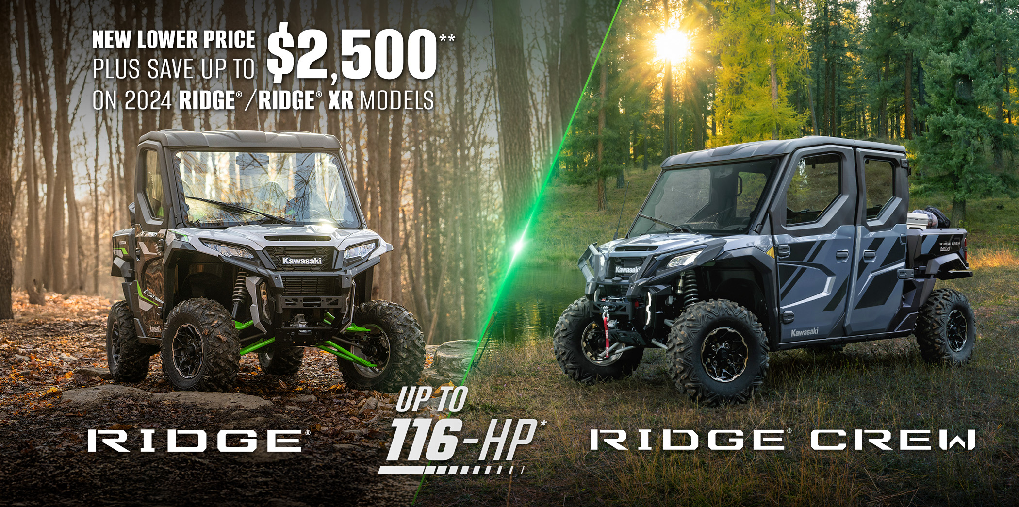 RIDGE FAMILY: RIDGE RIDGE XR