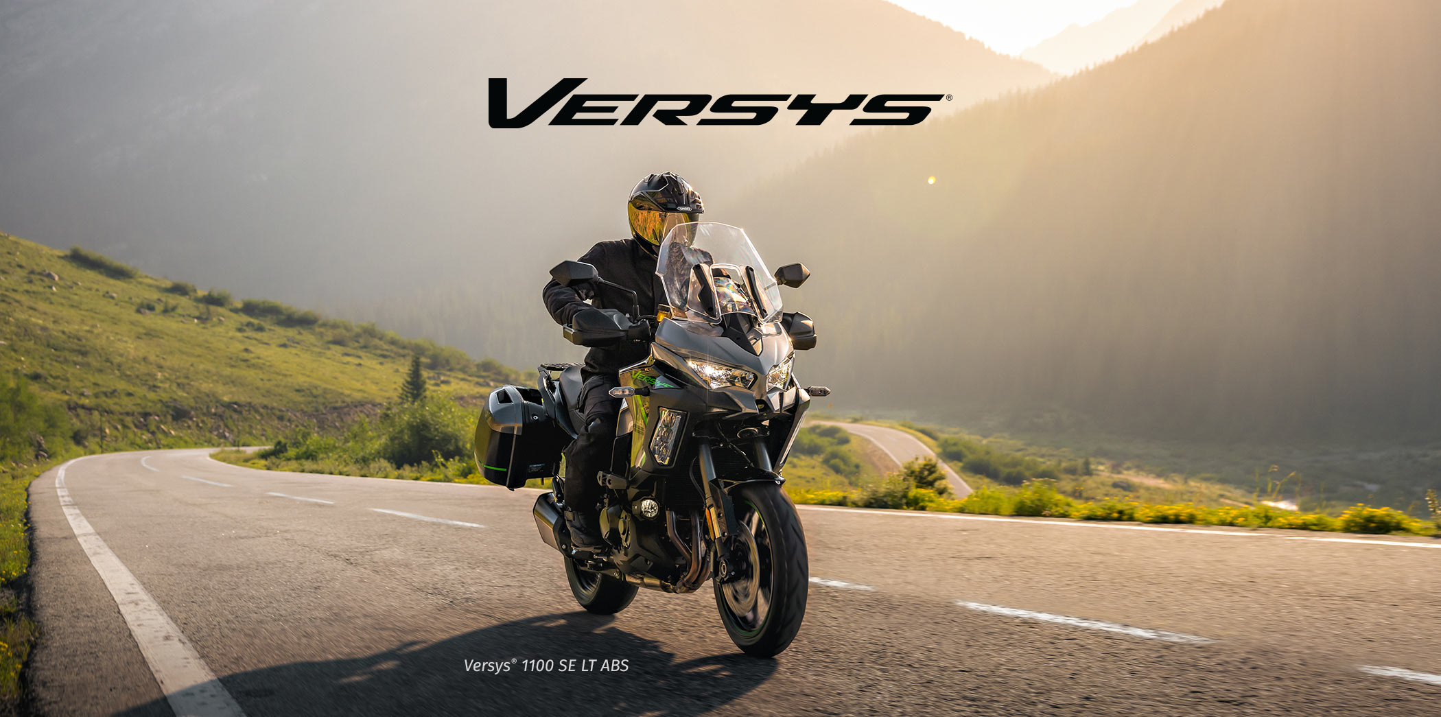 versys FAMILY: